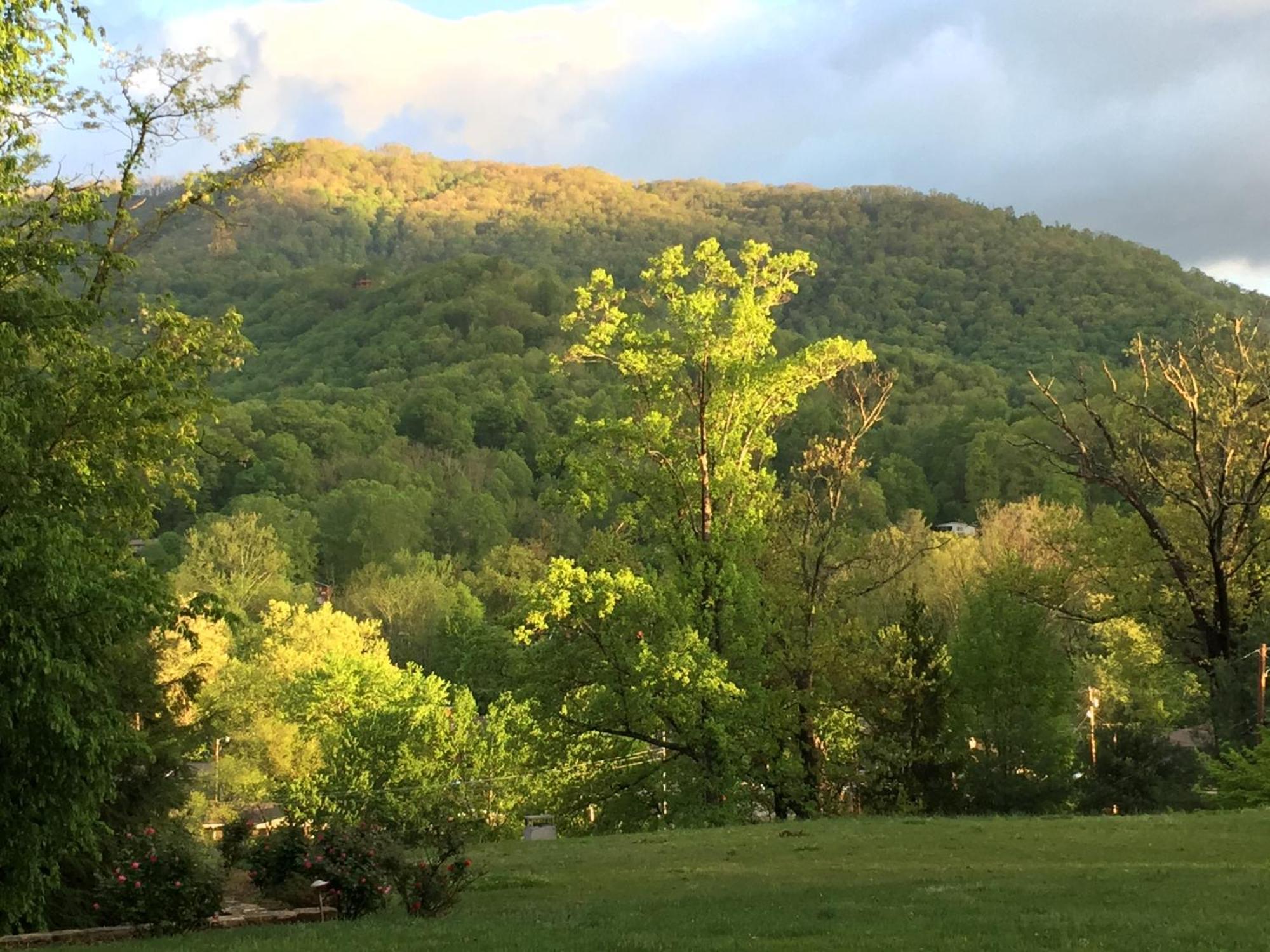 Andon-Reid Inn Bed & Breakfast Waynesville Bagian luar foto